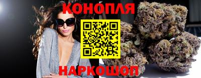 гидра Нальчик